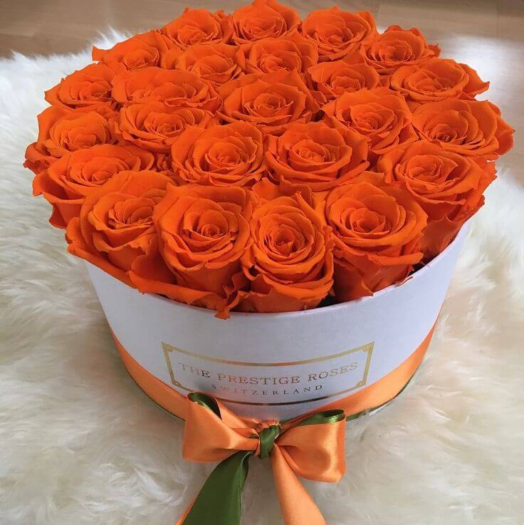 caja-flores/005.jpg