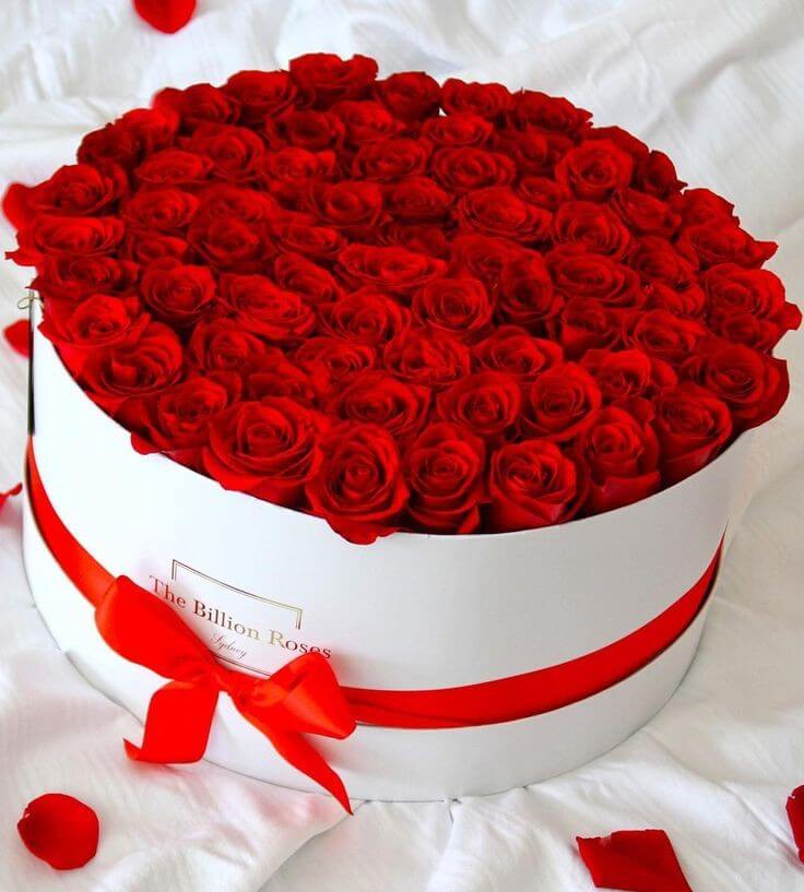 caja-flores/014.jpg