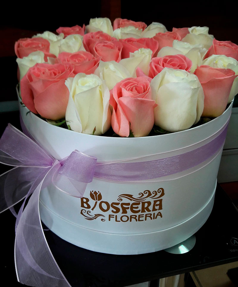 caja-flores/028.jpg