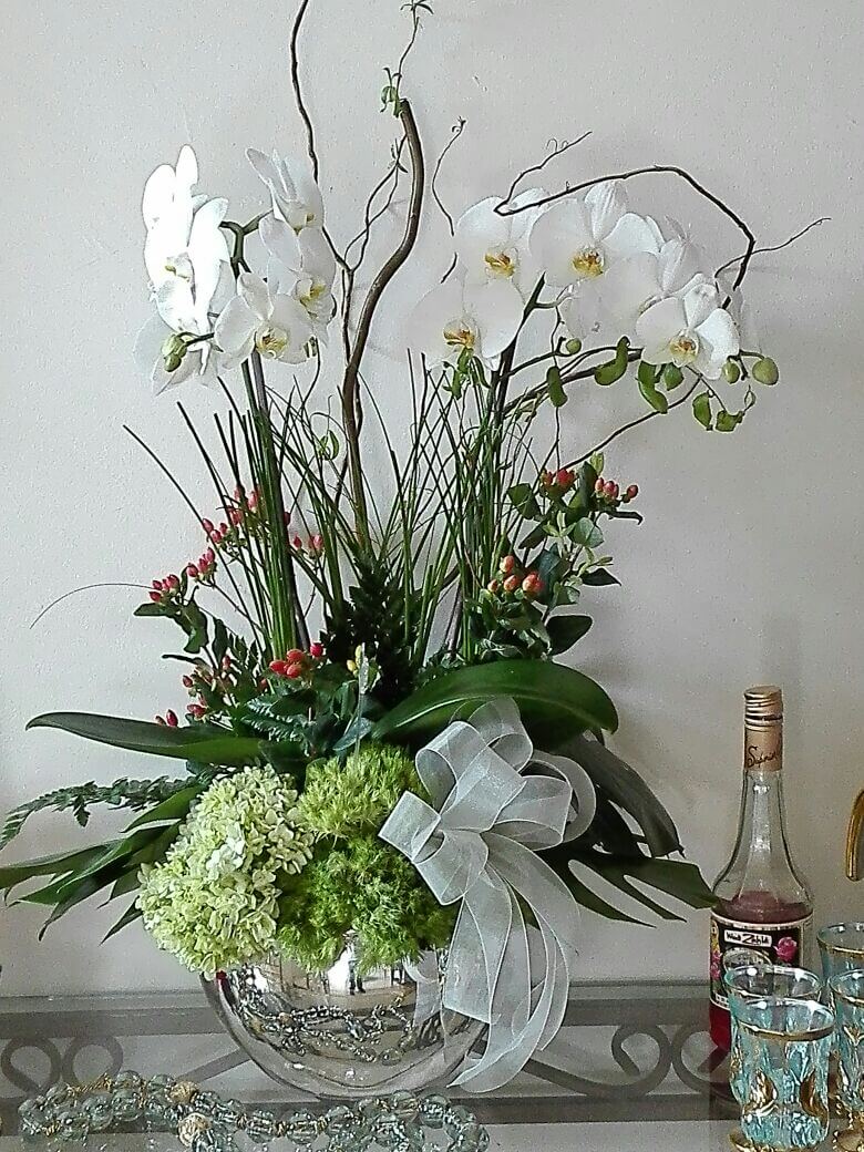 orquideas/004.jpg