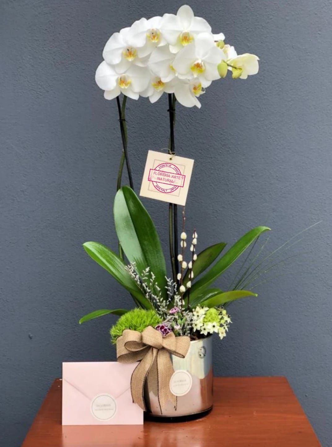 orquideas/006.jpg