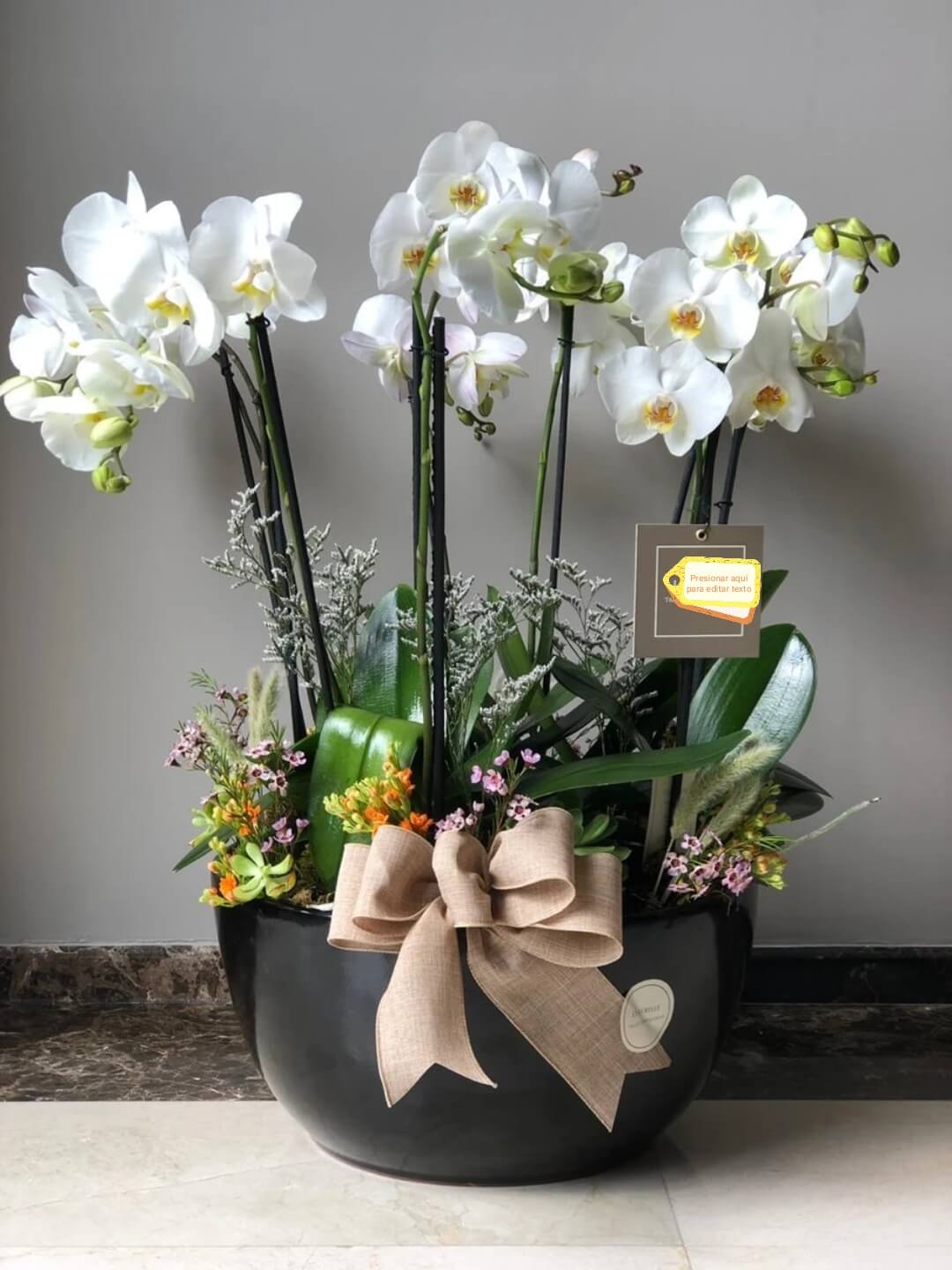 orquideas/016.jpg