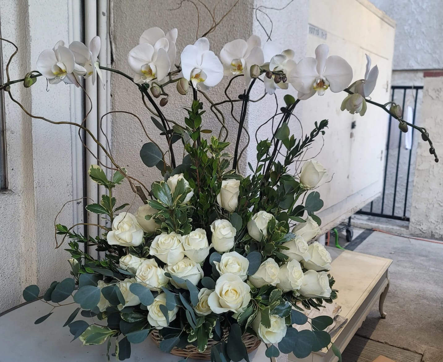 orquideas/A023.jpg